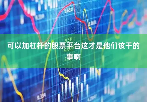 可以加杠杆的股票平台这才是他们该干的事啊