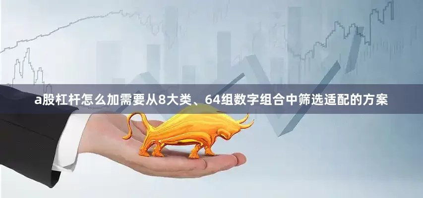 a股杠杆怎么加需要从8大类、64组数字组合中筛选适配的方案