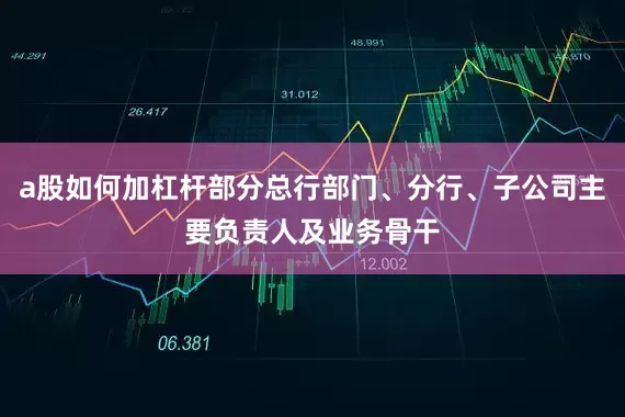 a股如何加杠杆部分总行部门、分行、子公司主要负责人及业务骨干