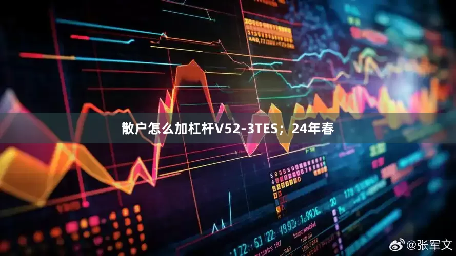 散户怎么加杠杆V52-3TES；24年春
