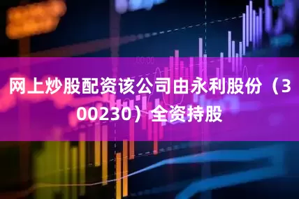 网上炒股配资该公司由永利股份（300230）全资持股
