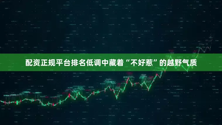 配资正规平台排名低调中藏着“不好惹”的越野气质